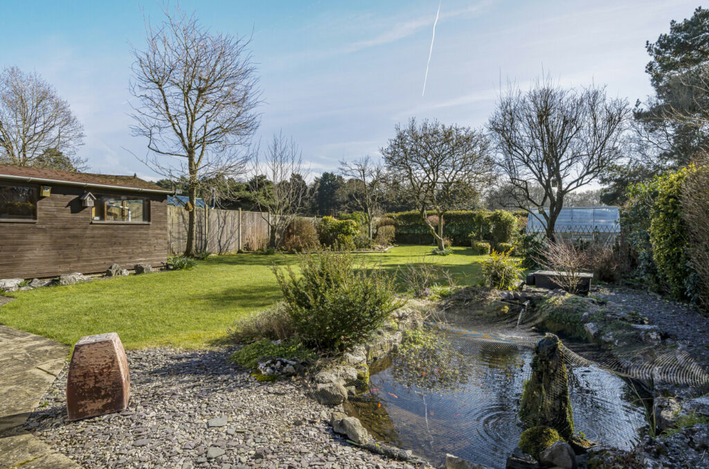 Property Image_6