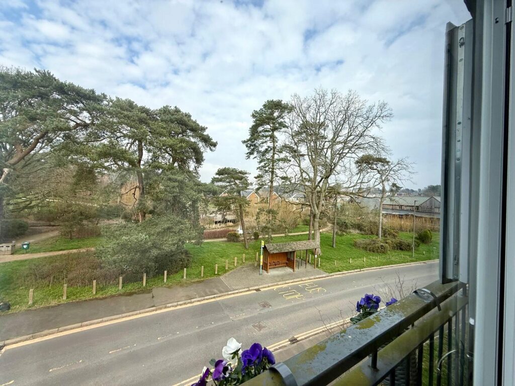 Property Image_25