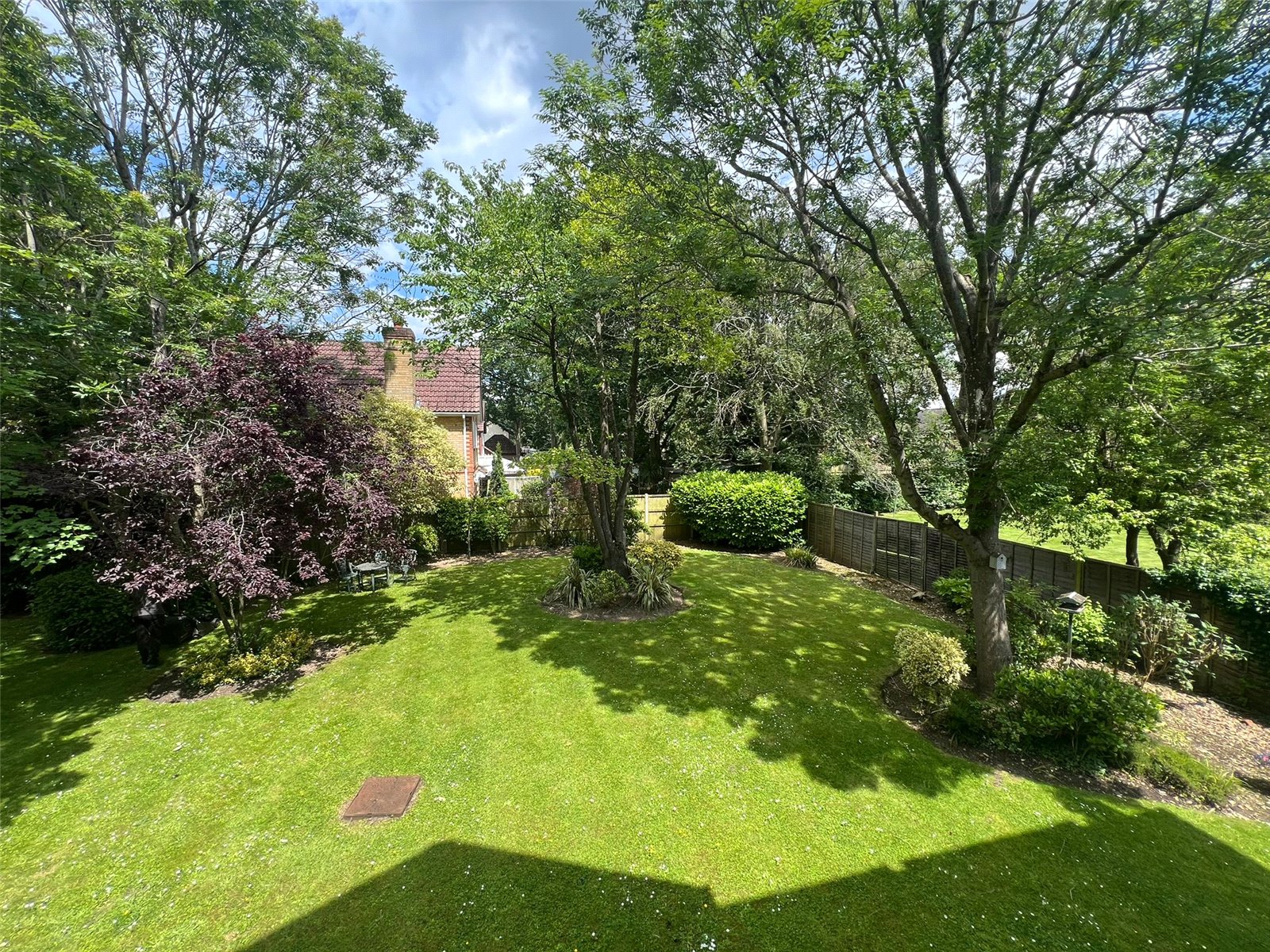 HEO240526_09.jpg