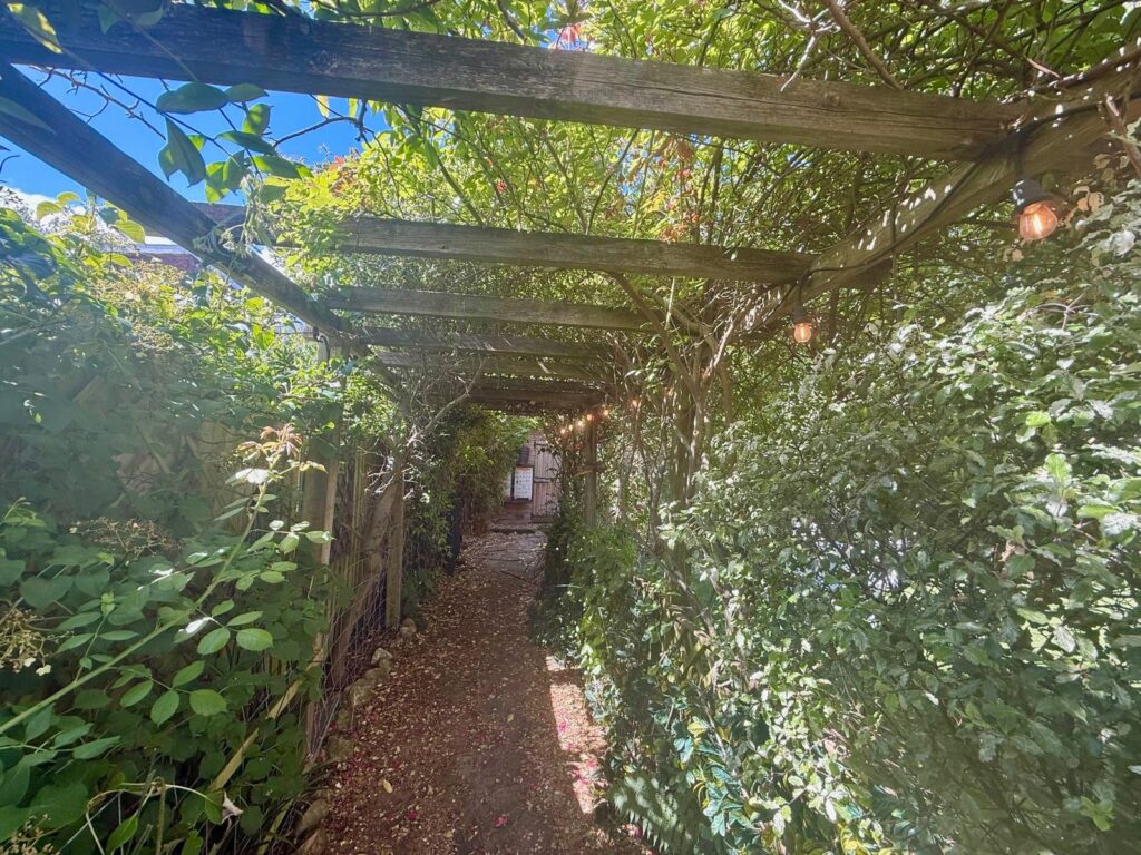 Property Image_20