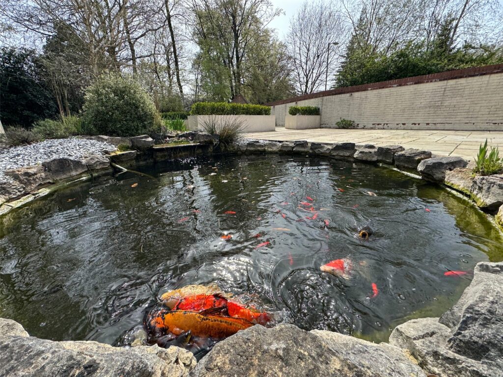 Property Image_24