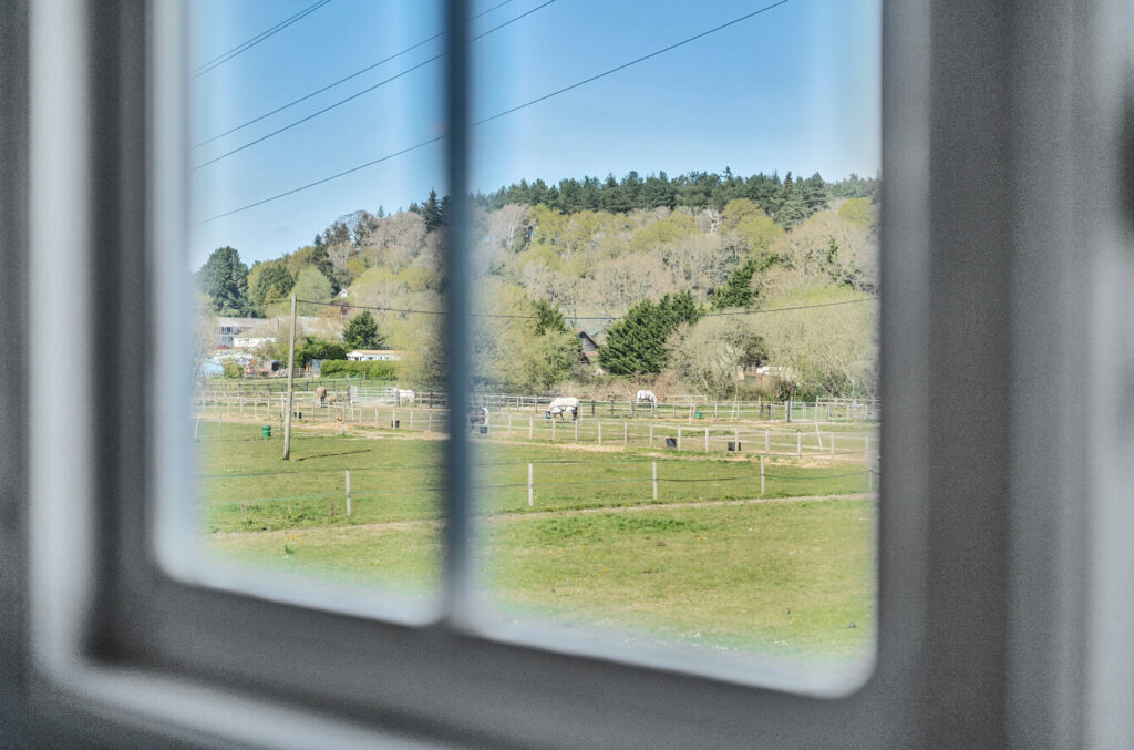 Property Image_19