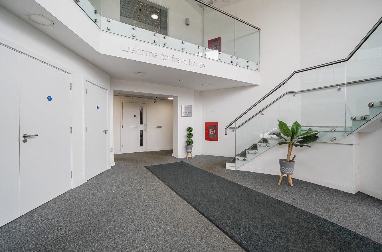 HOK250074_10.jpg