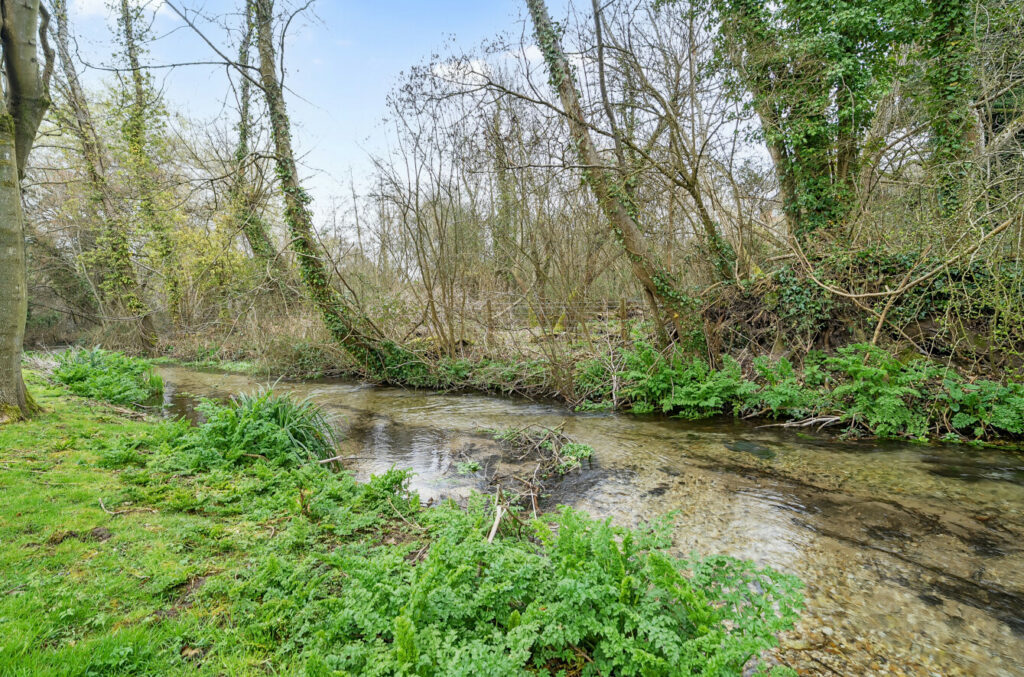 Property Image_15