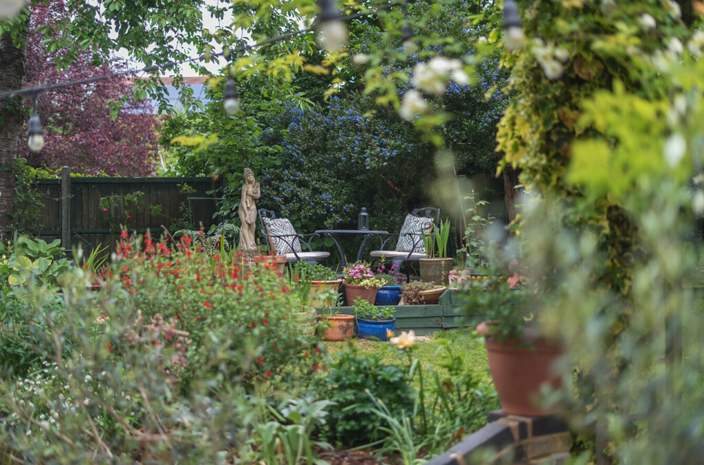 Property Image_20