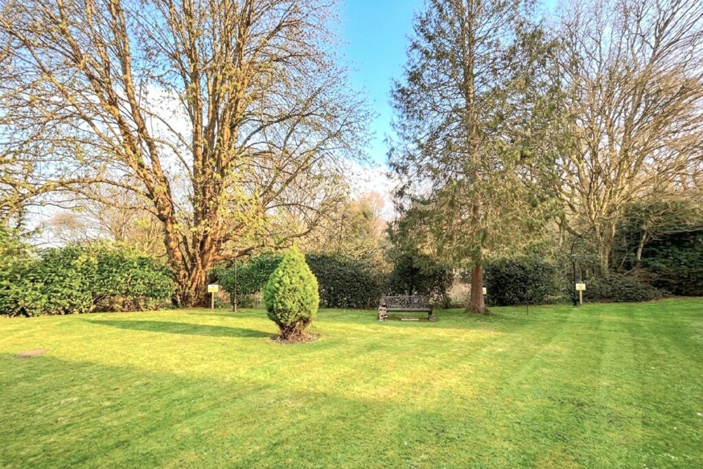 Property Image_6
