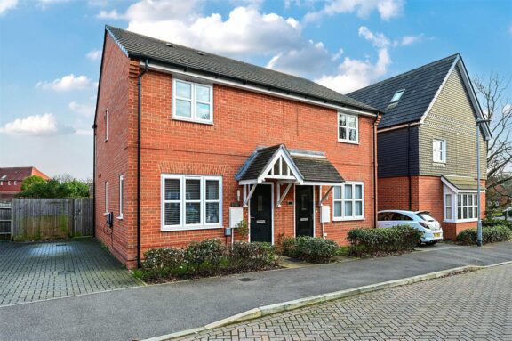 Dragonfly Chase Image