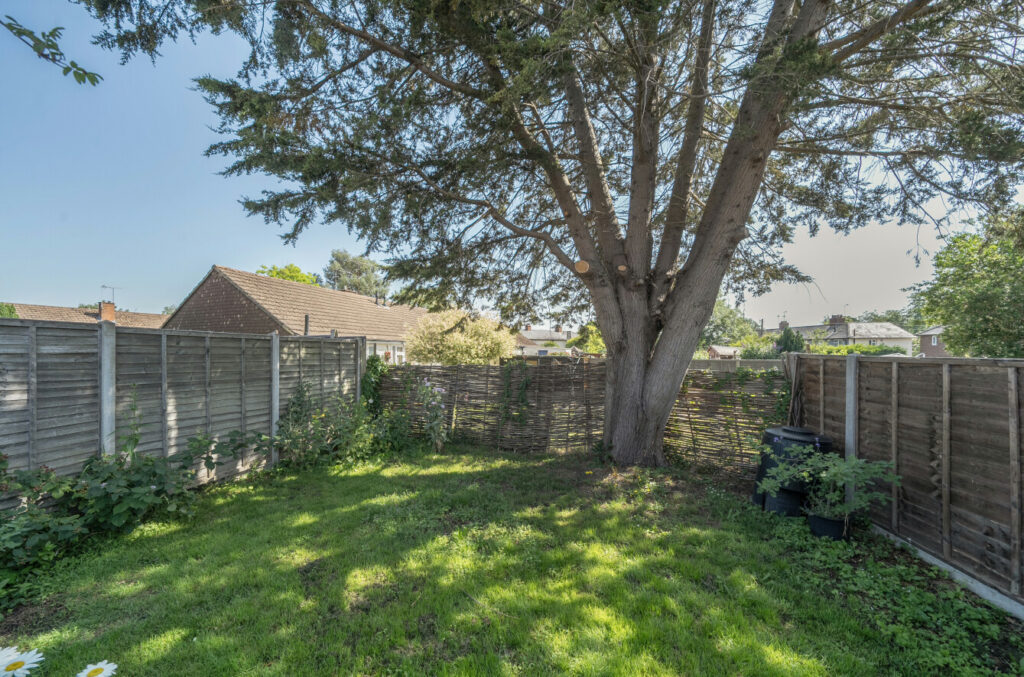 Property Image_19