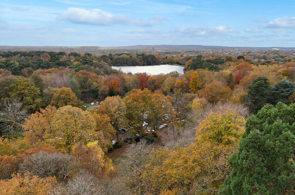 Property Image_8