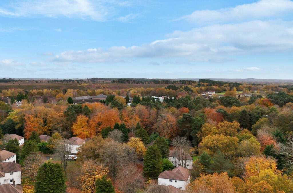 Property Image_9