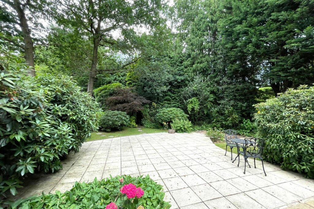 Property Image_5