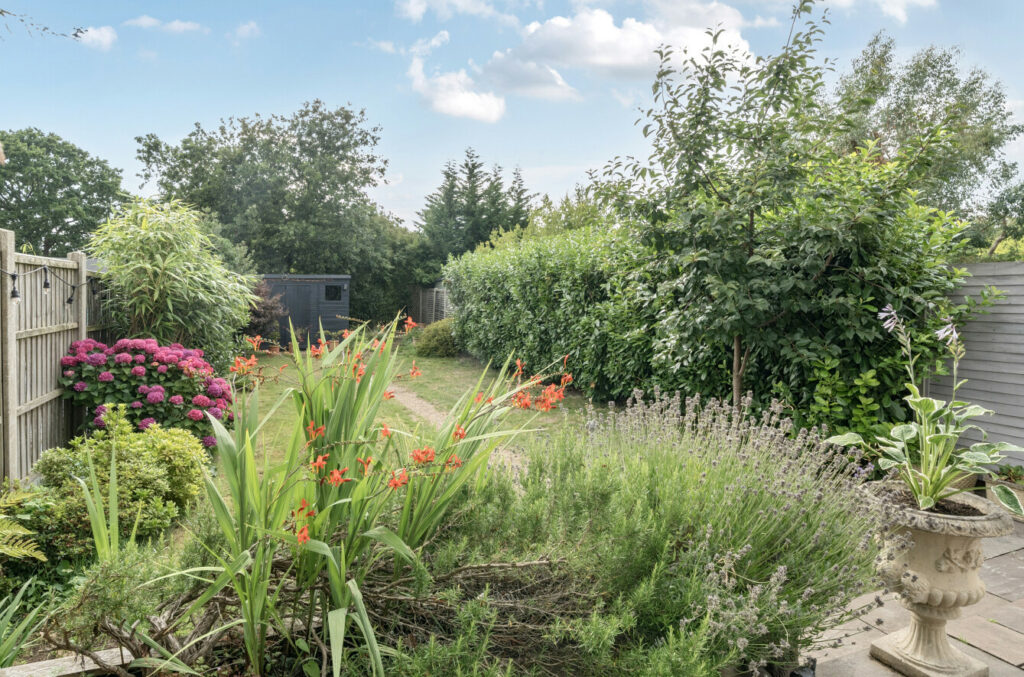 Property Image_39
