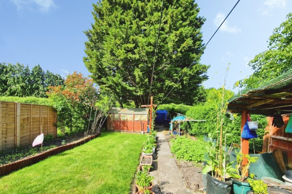 Property Image_10