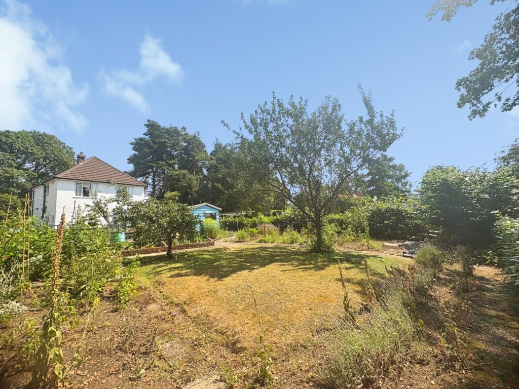 Property Image_4