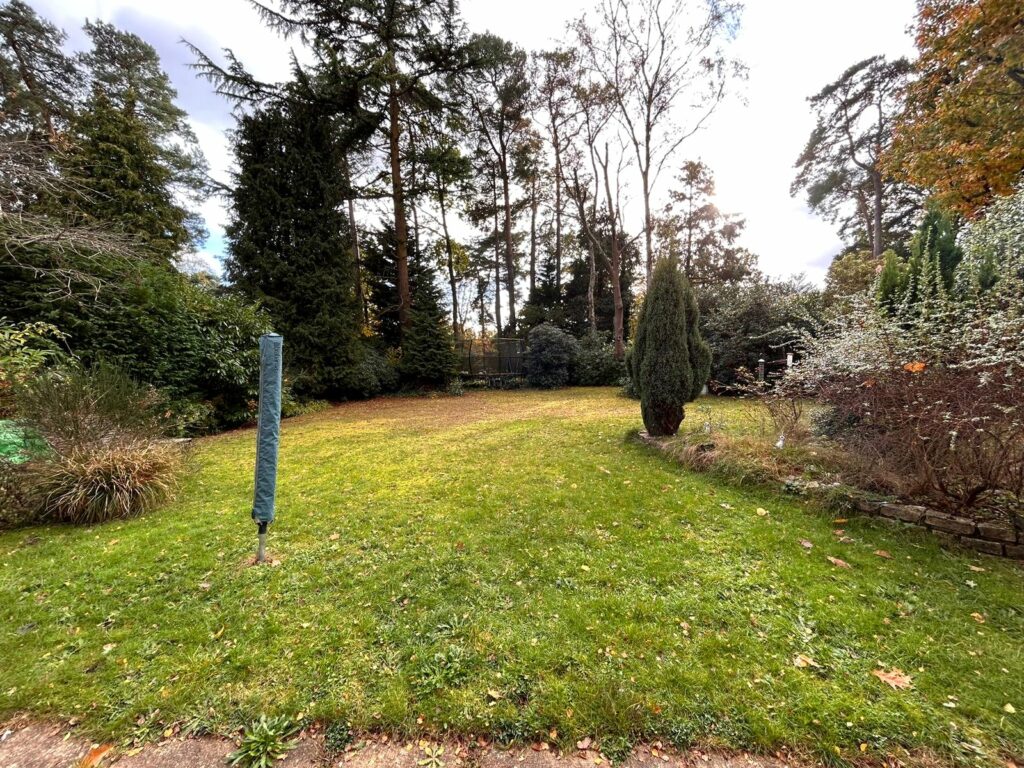 Property Image_14