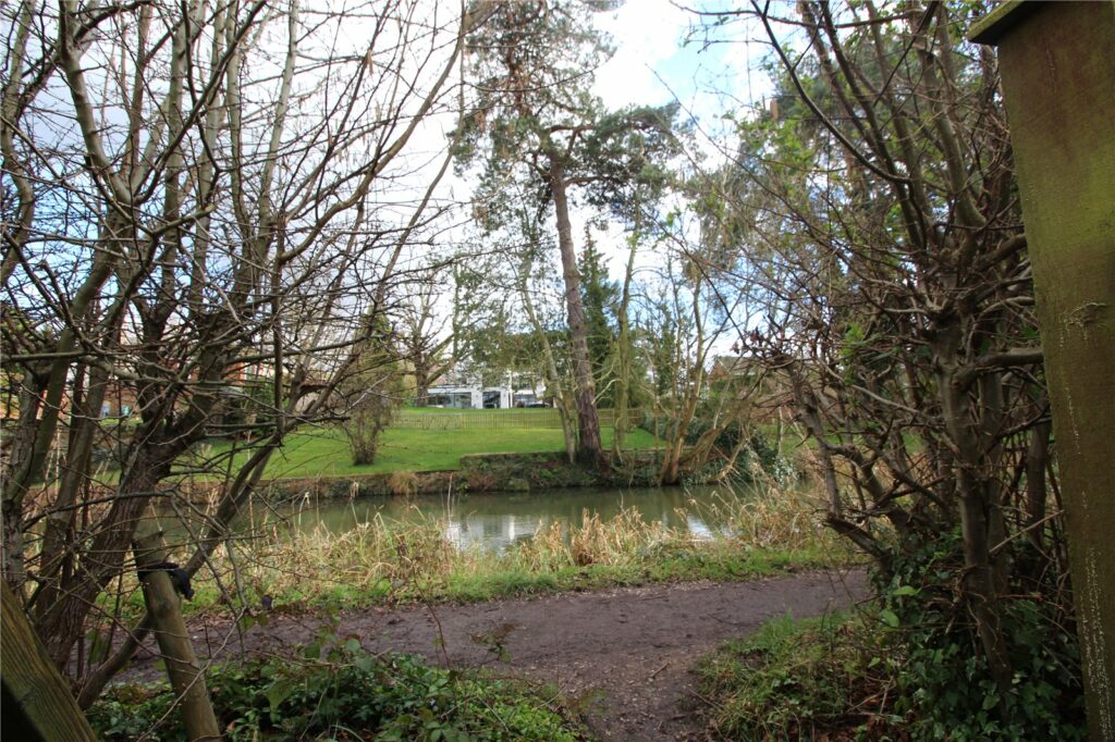 Property Image_16