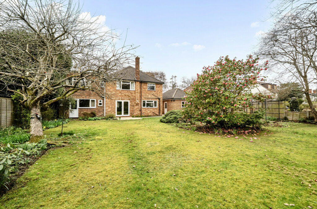 Property Image_5