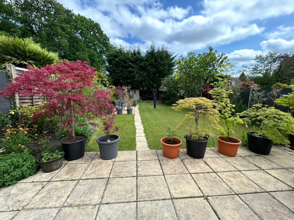 Property Image_7