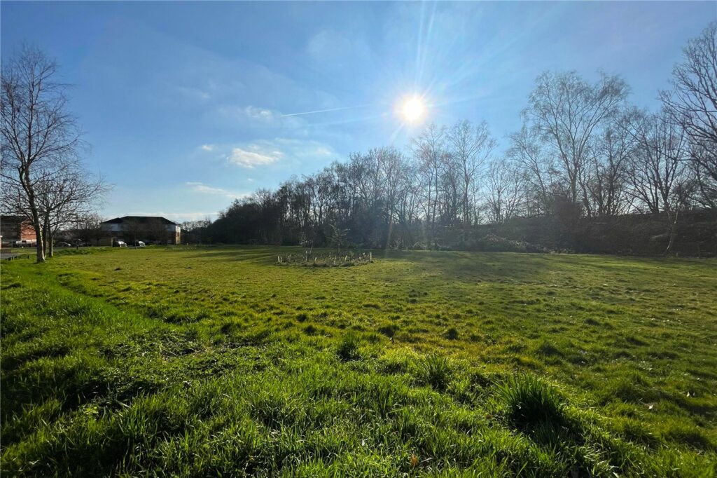 Property Image_15