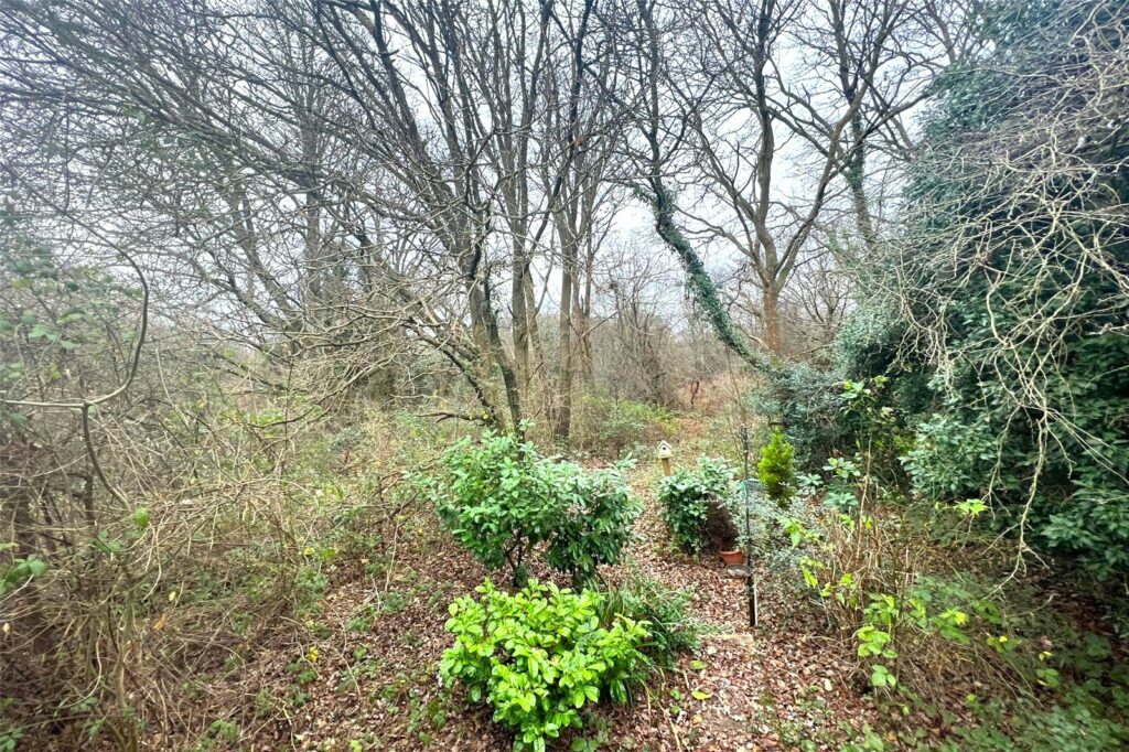 Property Image_9