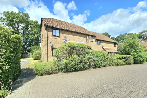 Bluebell Rise Image