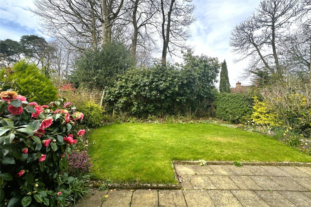 Property Image_17
