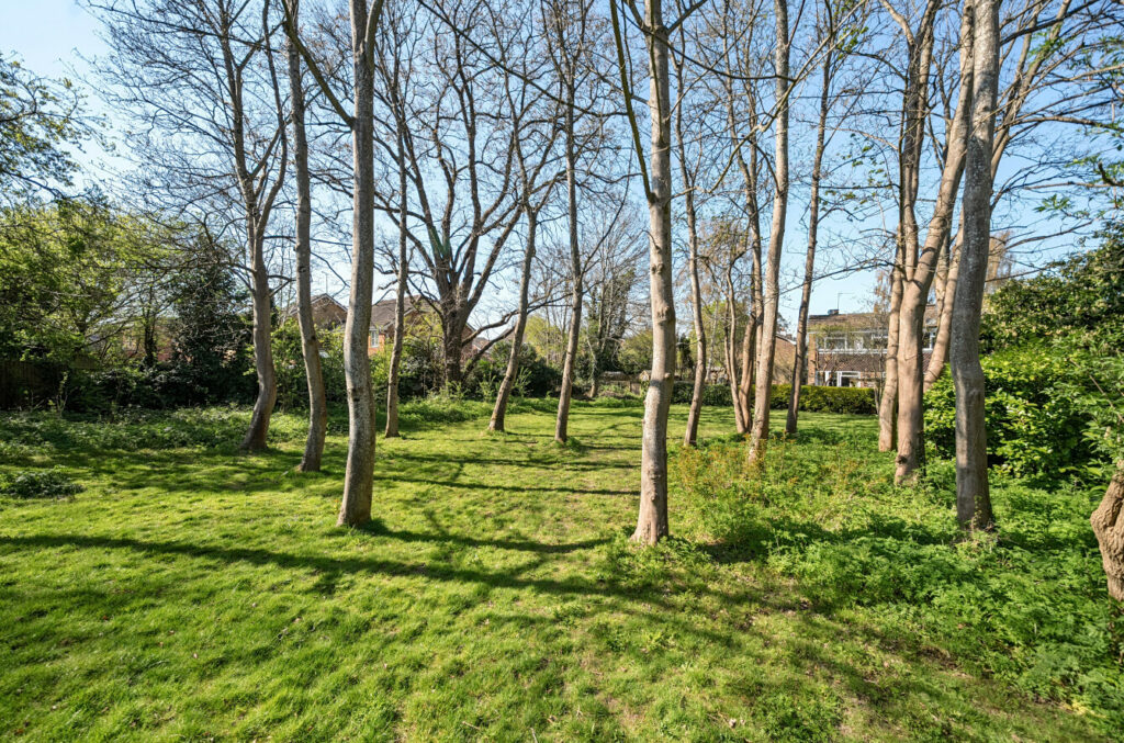 Property Image_22