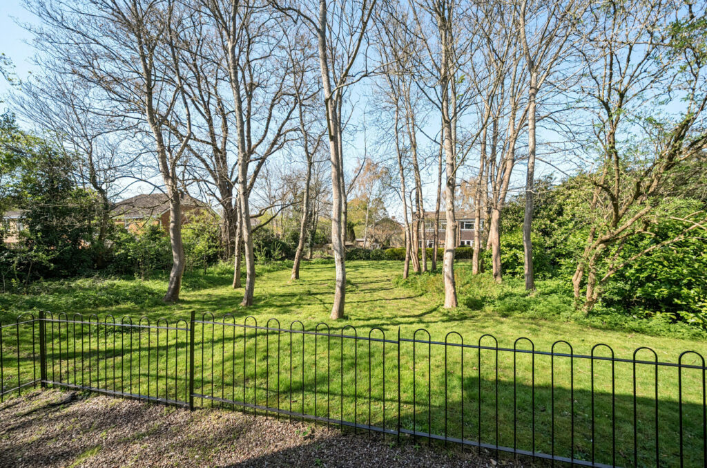 Property Image_17