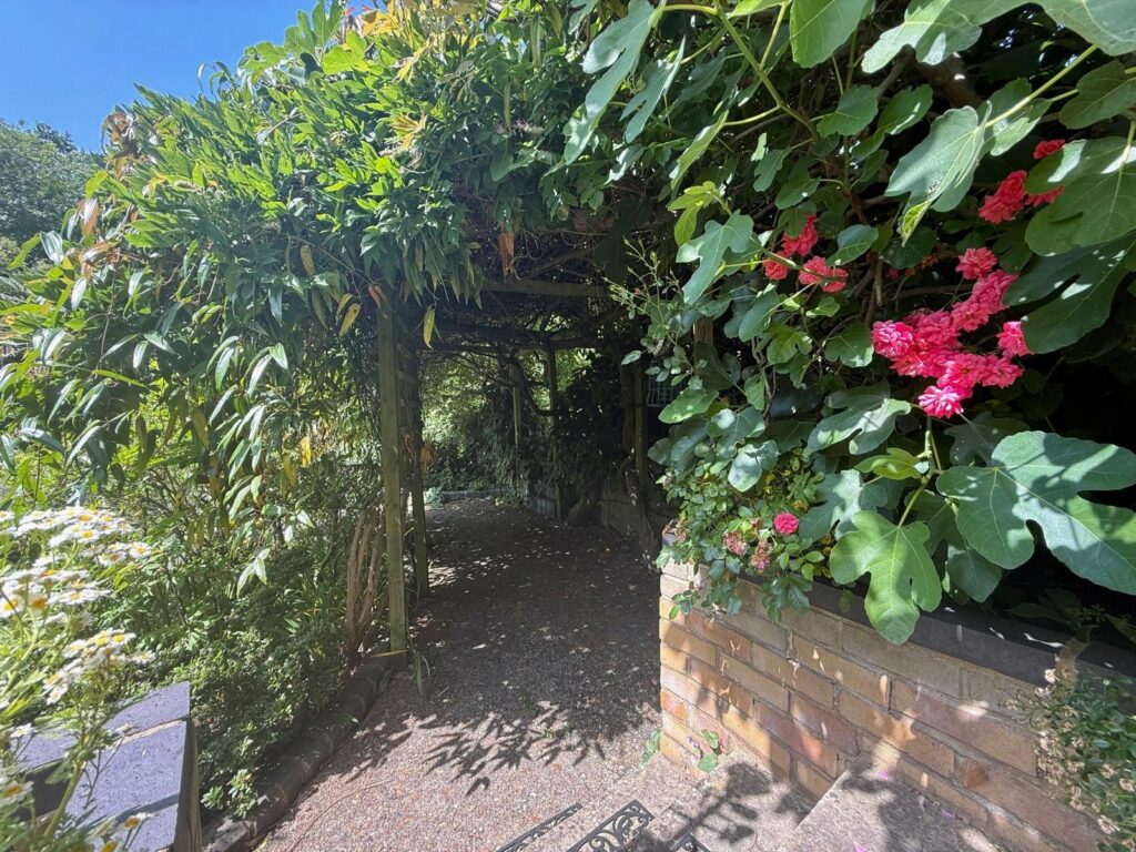 Property Image_21