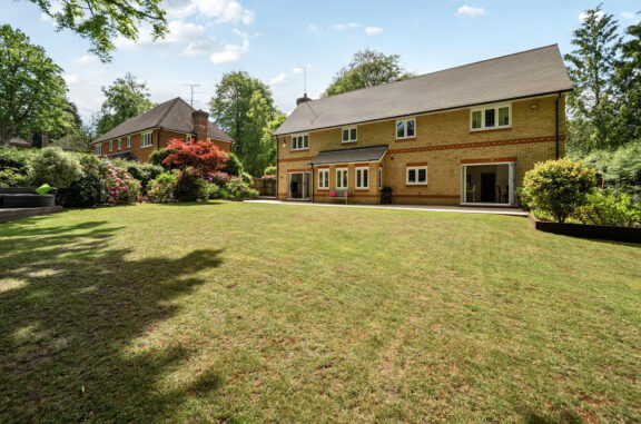 Golf Drive Image