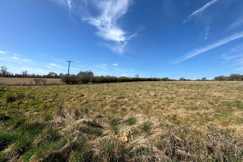 Property Image_19
