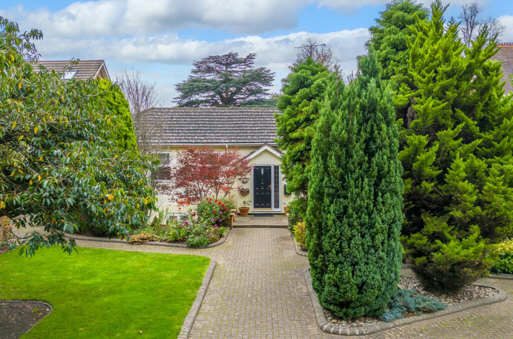 Property Image_24