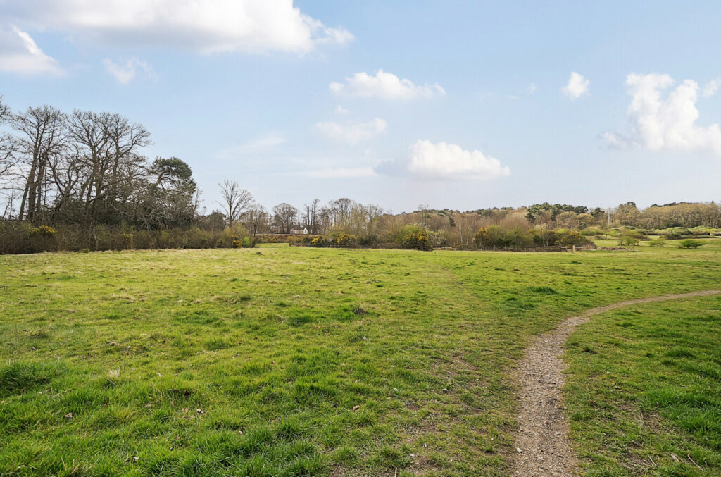 Property Image_12