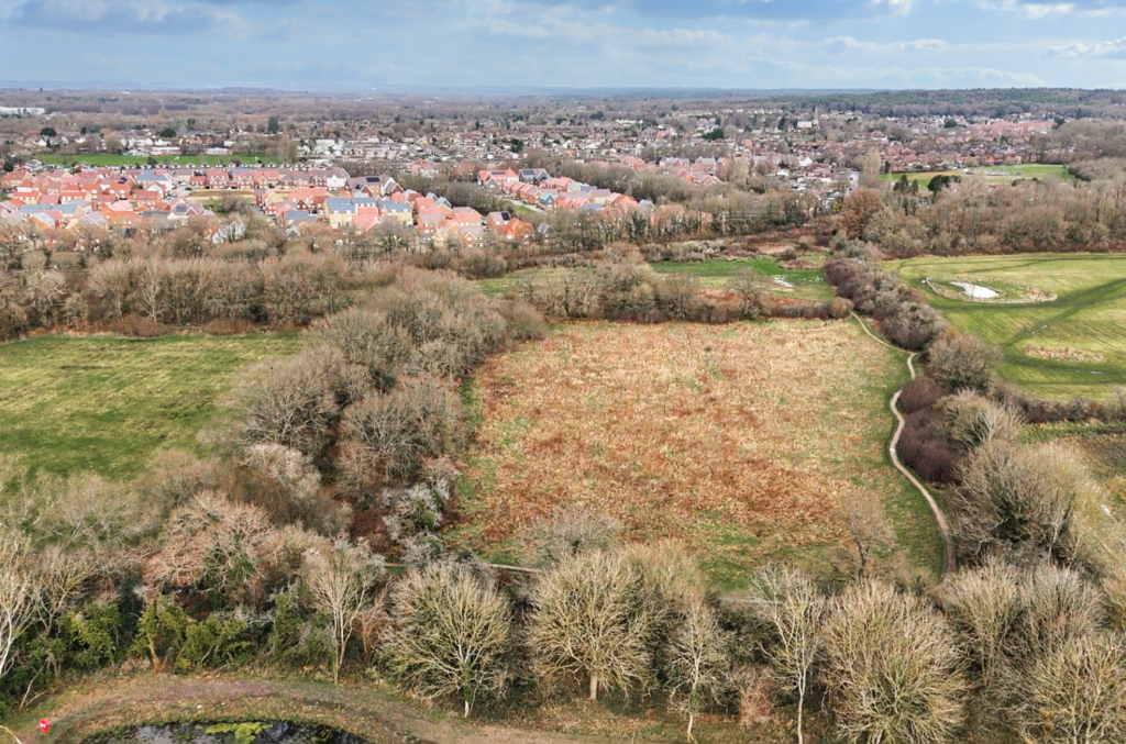 Property Image_38