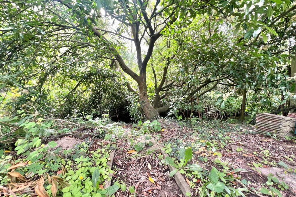 Property Image_13