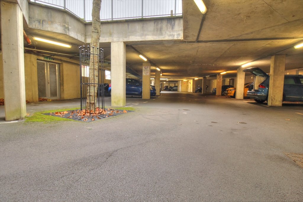 Property Image_7