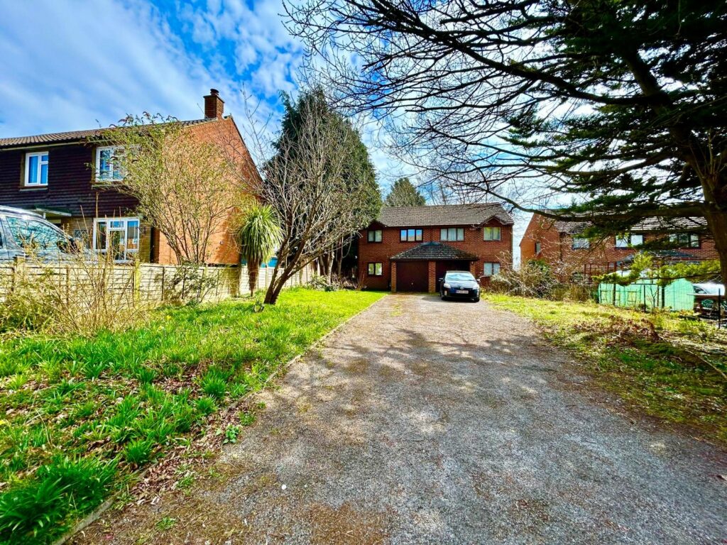 Property Image_14
