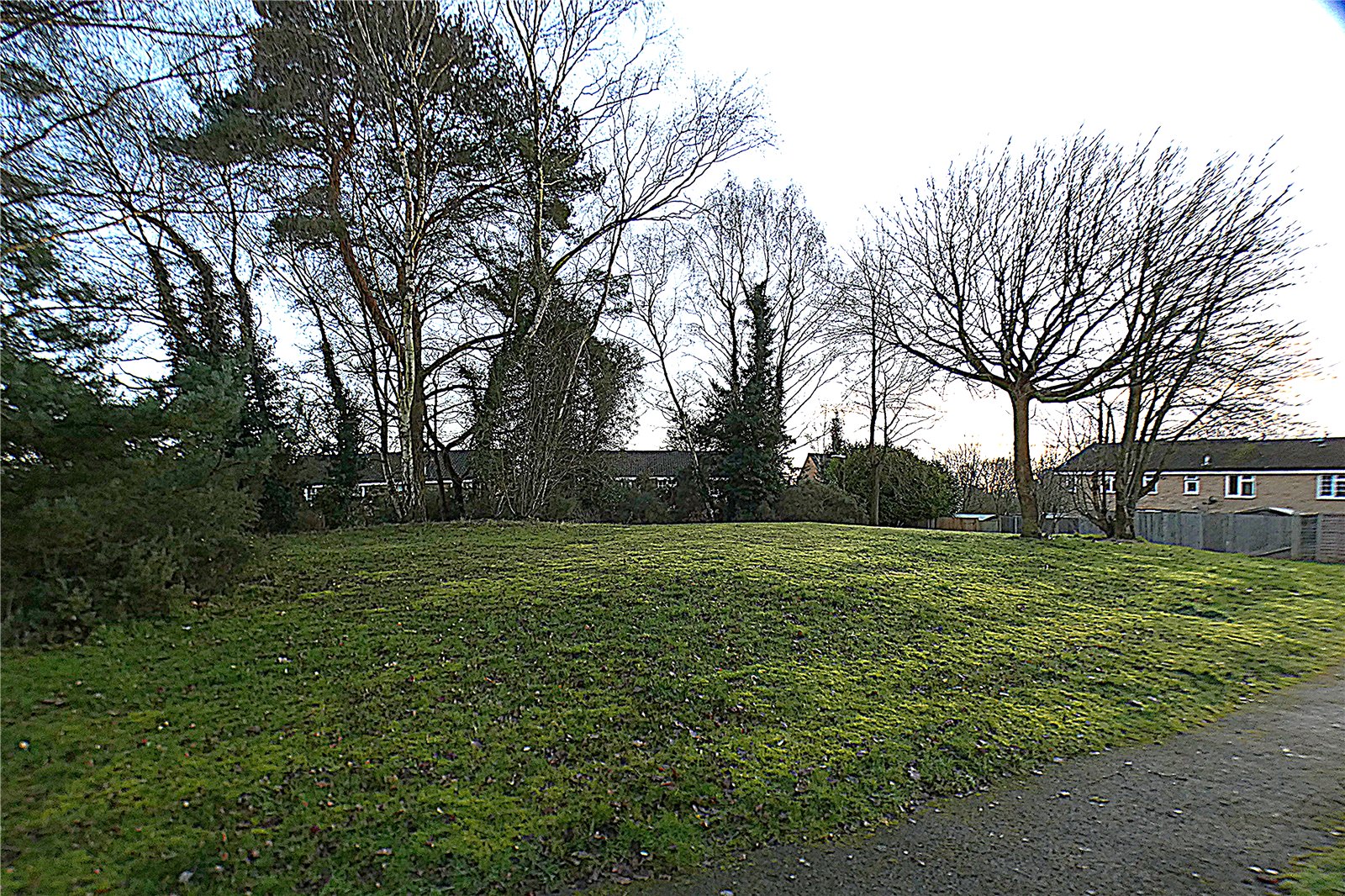 HUB250293_18.jpg