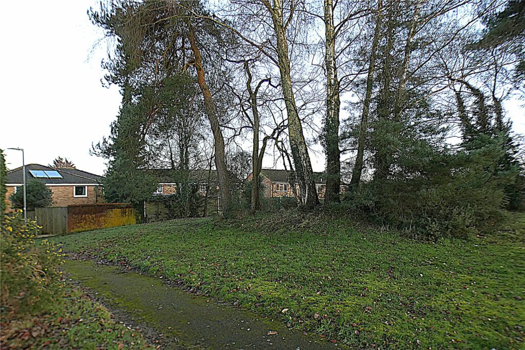 Property Image_20