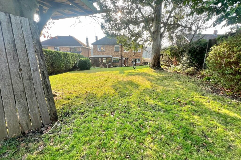Property Image_19