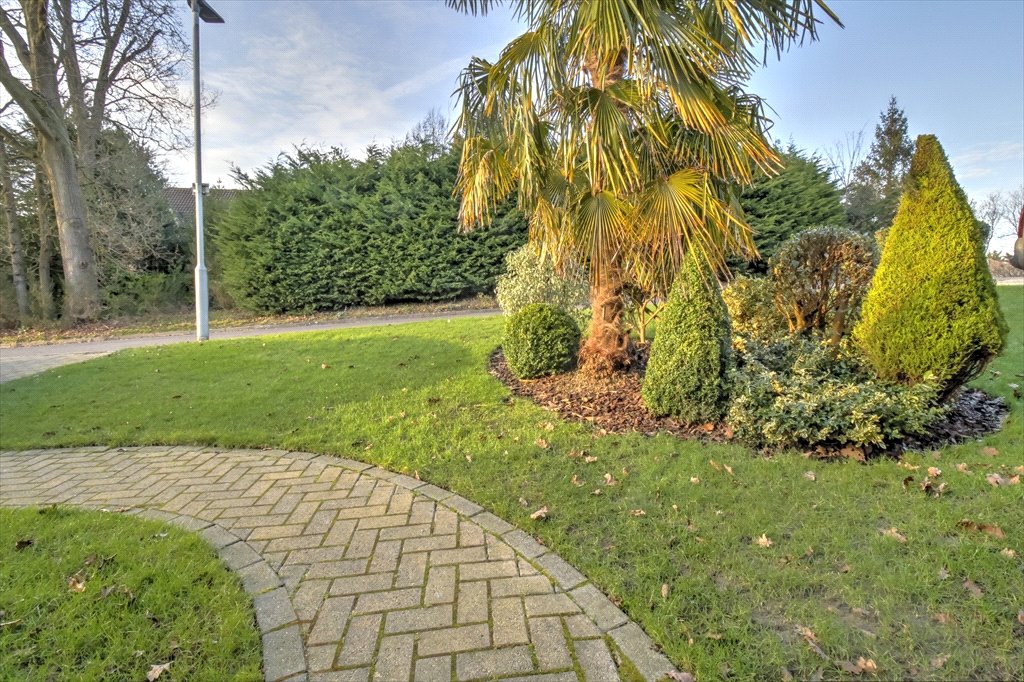 Property Image_28