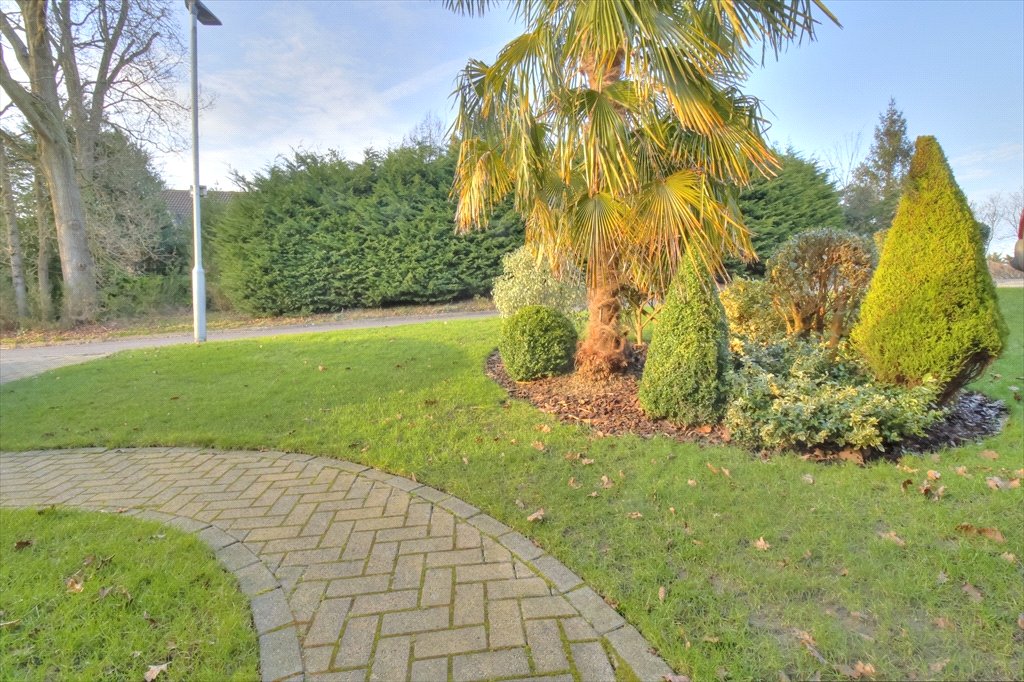 Property Image_32