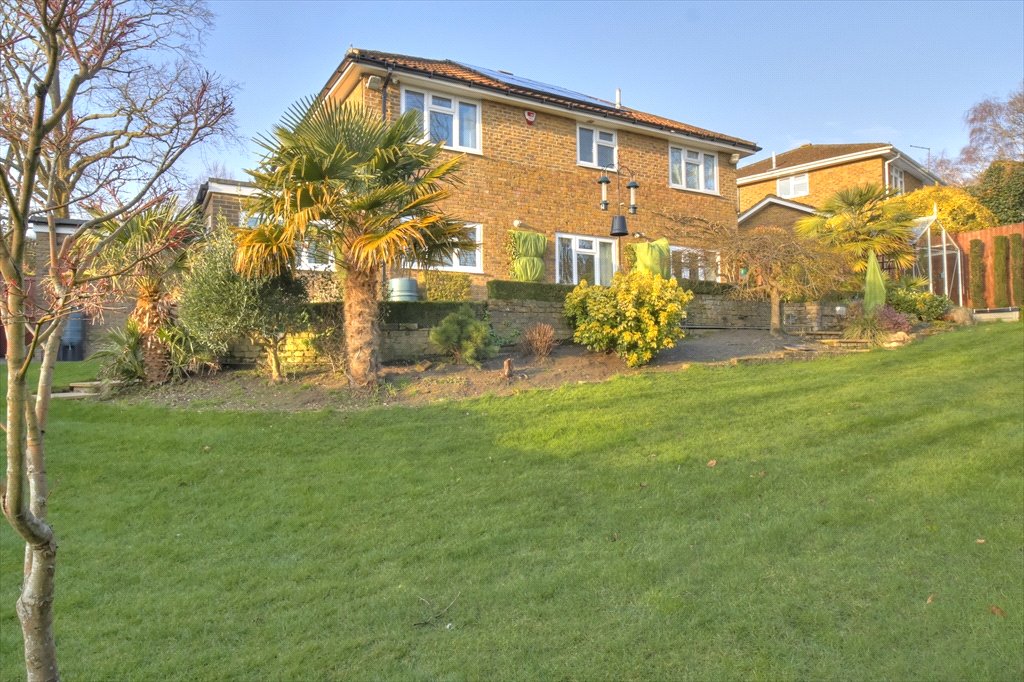 Property Image_7