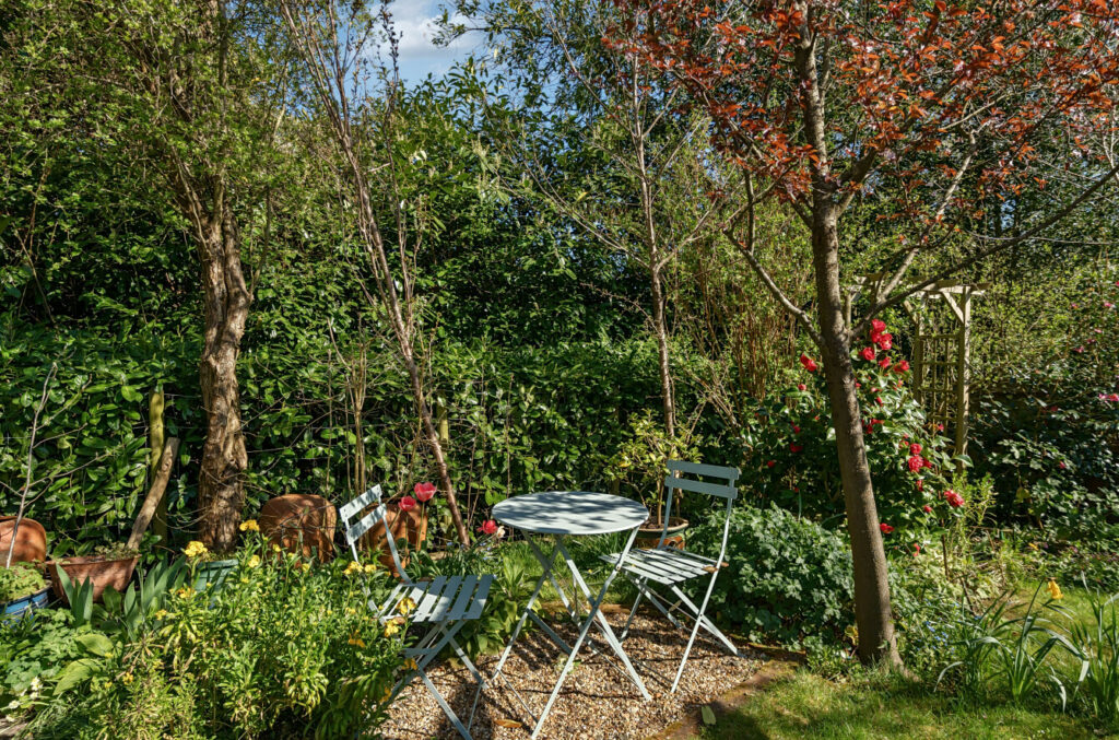Property Image_22