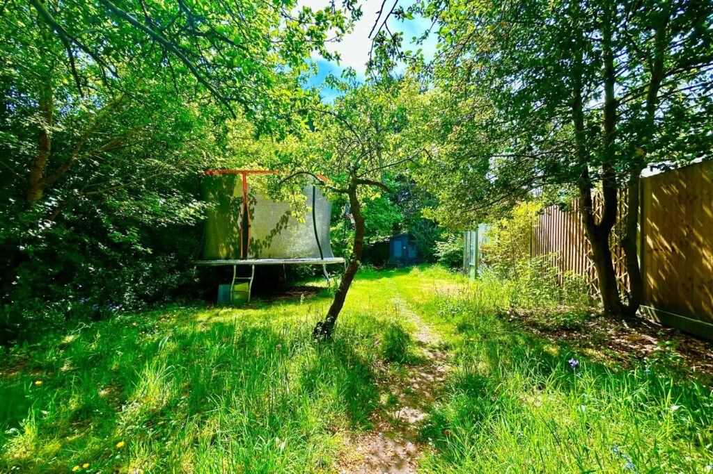 Property Image_18
