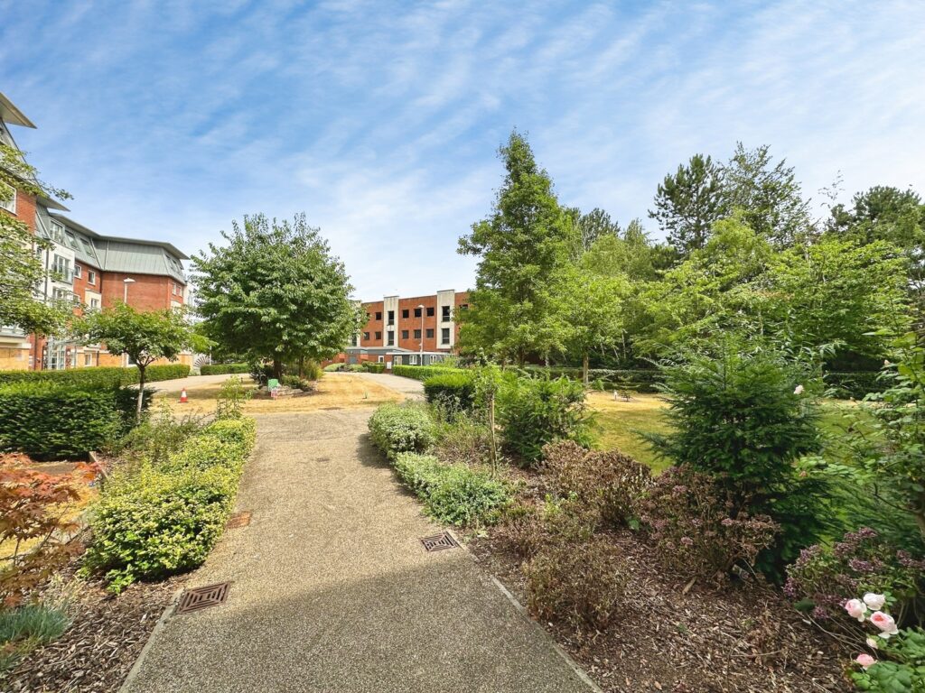 Property Image_16