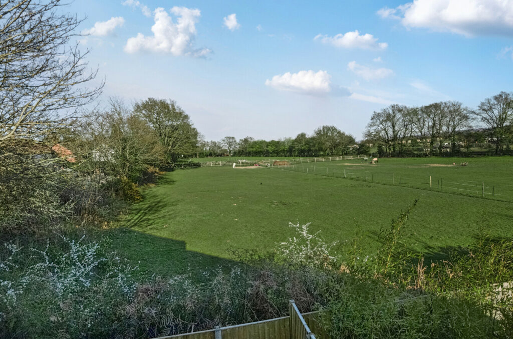 Property Image_12