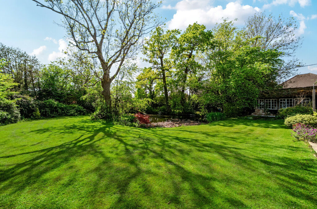 Property Image_28