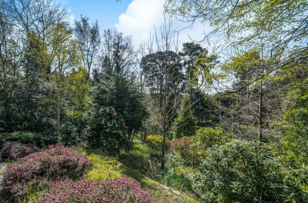 Property Image_25