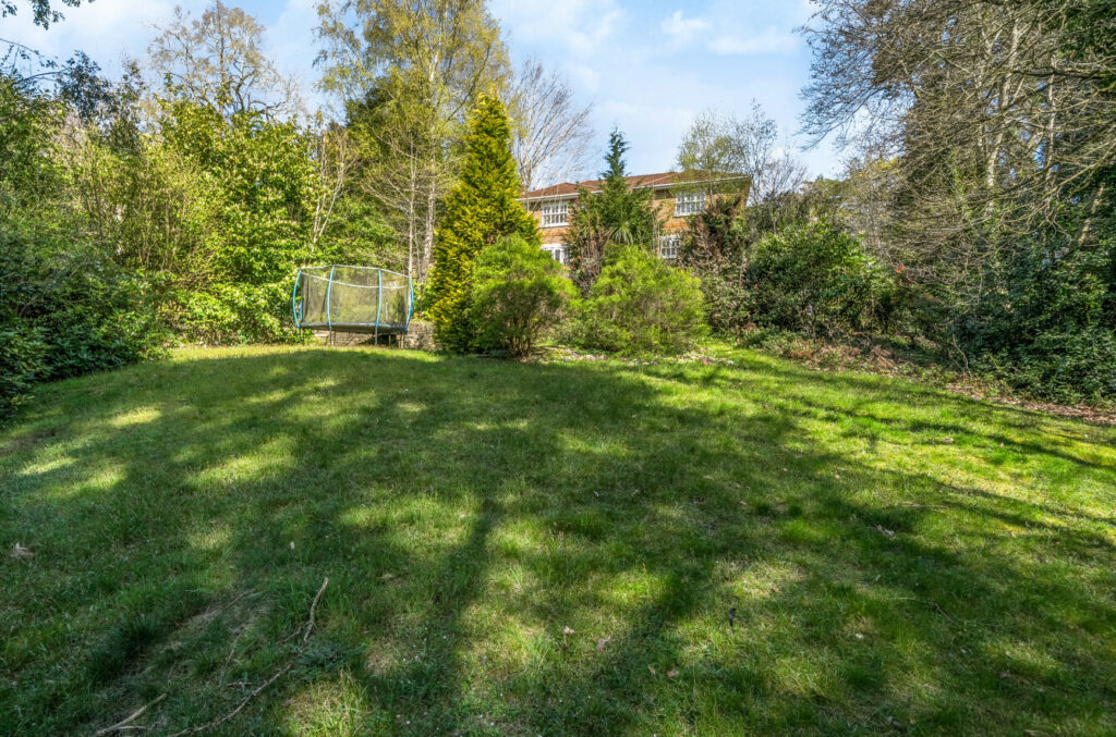 Property Image_23